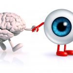 Όραση, εγκέφαλος και μάθηση